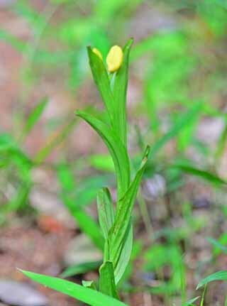 DSC_2906-2.jpg