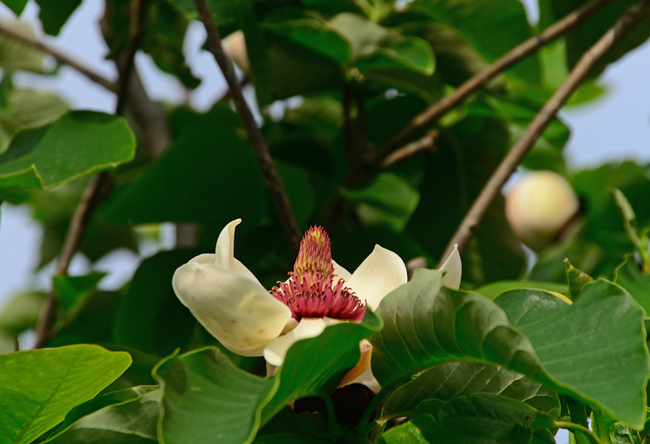 DSC_2952-2.jpg