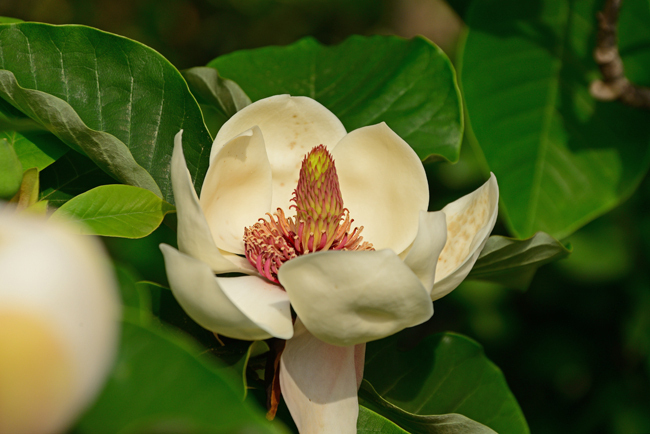 DSC_2965-2.jpg