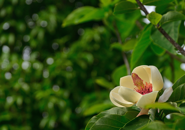 DSC_2970-2.jpg
