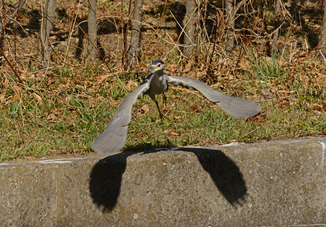 DSC_3120-2.jpg