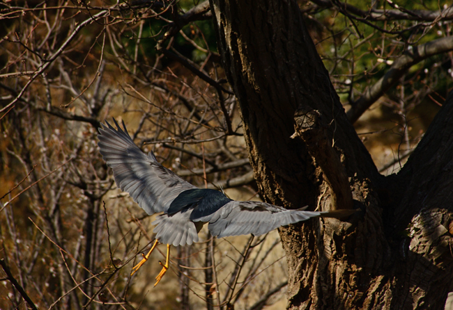 DSC_3122-2.jpg