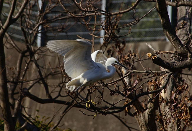 DSC_3129-2.jpg