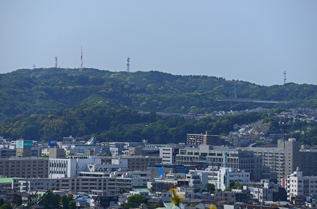 DSC_3134-2.jpg