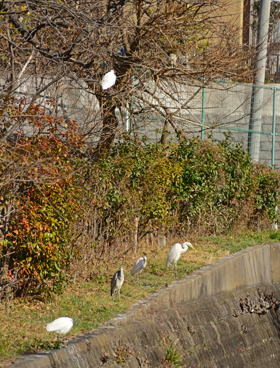 DSC_3150-2.jpg