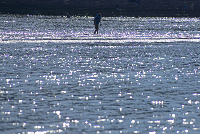 DSC_3217-2.jpg