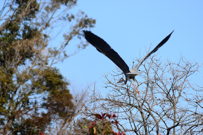 DSC_3231-2.jpg