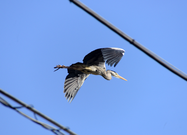 DSC_3237-2.jpg