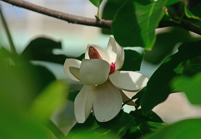 DSC_3314-2.jpg