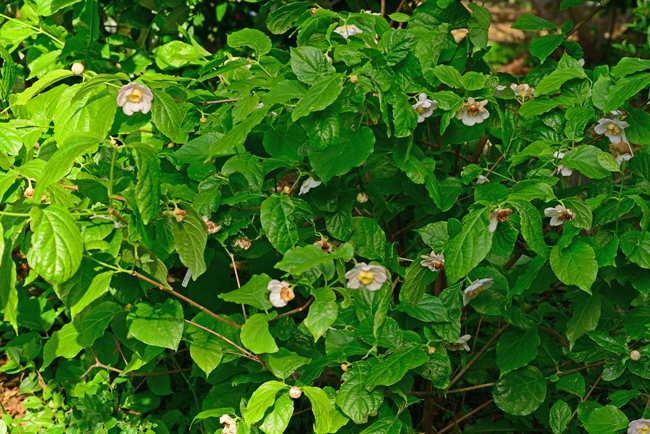 DSC_3493-2.jpg