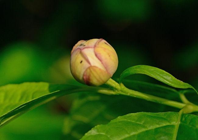 DSC_3494-2.jpg