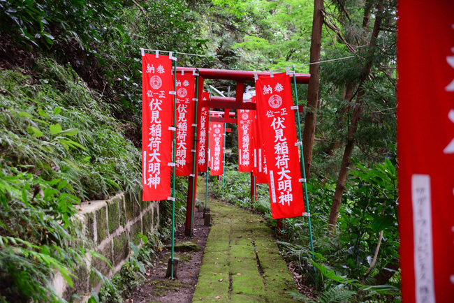 DSC_3510-2.jpg