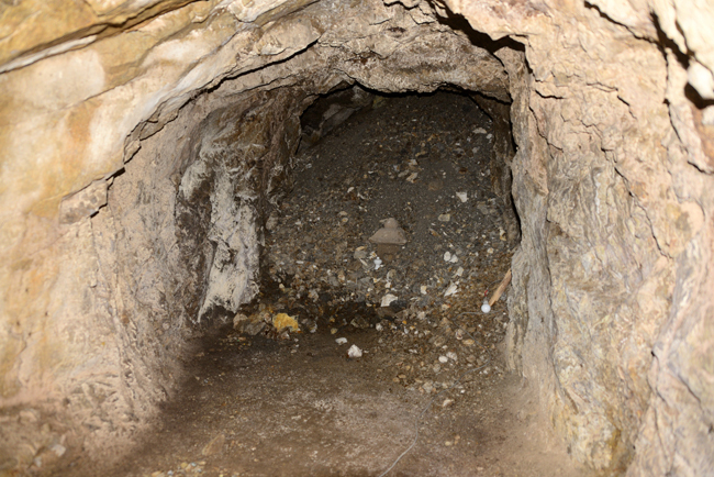 DSC_3518-2.jpg