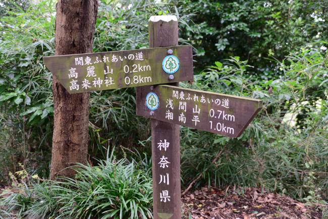DSC_3543-2.jpg
