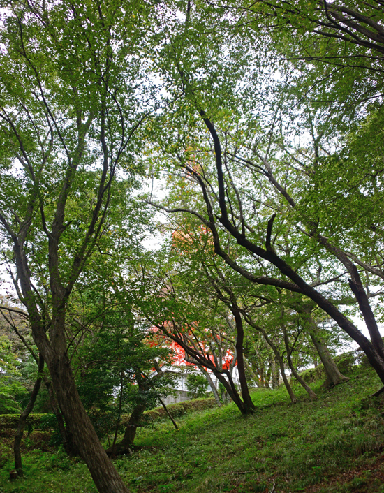 DSC_3568-2.jpg