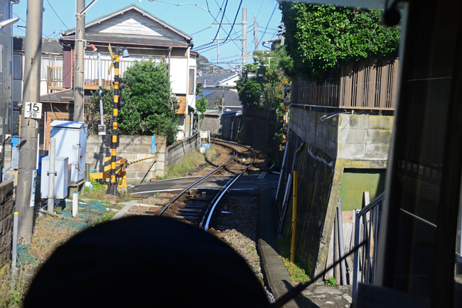 DSC_3695-2.jpg