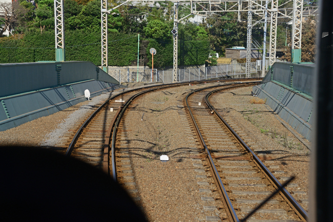 DSC_3716-2.jpg