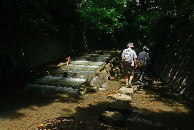 DSC_3719-2.jpg