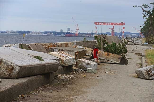 DSC_3732-2.jpg