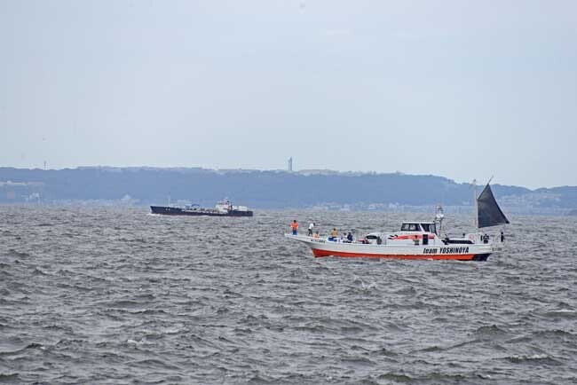 DSC_3752-2.jpg