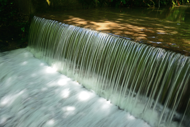 DSC_3759-2.jpg