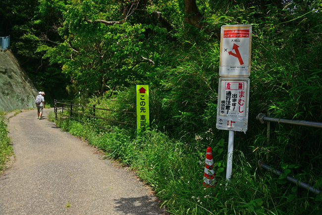 DSC_3762-2.jpg