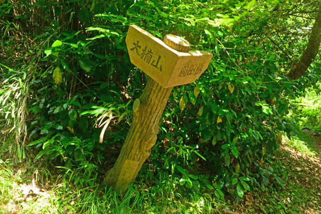 DSC_3770-2.jpg