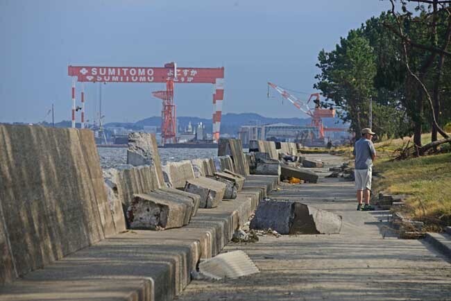DSC_3780-2.jpg