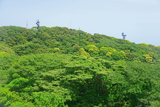 DSC_3781-2.jpg