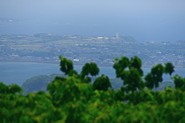 DSC_3784-2.jpg