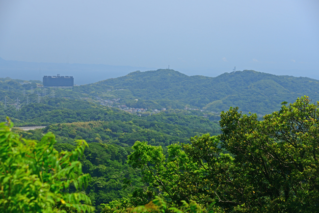 DSC_3797-2.jpg