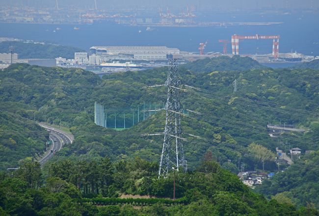 DSC_3803-2.jpg