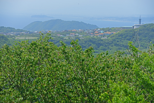 DSC_3807-2.jpg