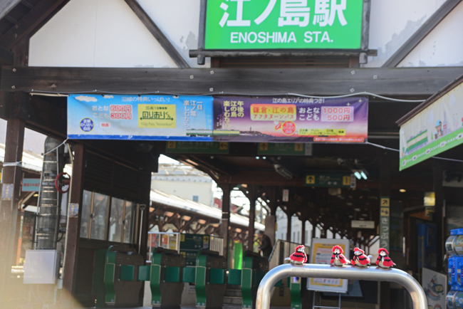 DSC_3807-2.jpg