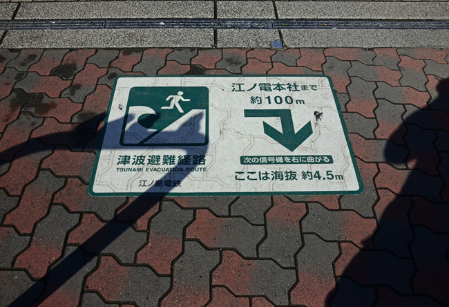 DSC_3809-2.jpg