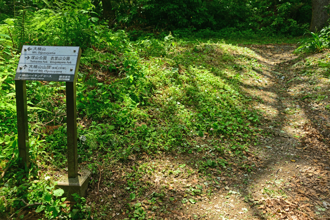 DSC_3822-2.jpg