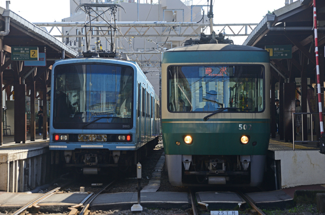 DSC_3822-2.jpg
