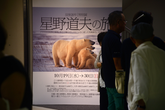 DSC_3825-2.jpg