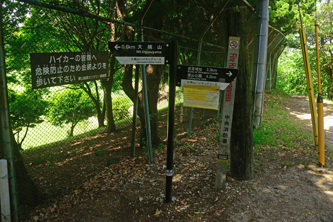 DSC_3826-2.jpg