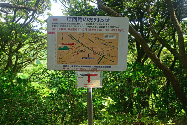 DSC_3830-2.jpg