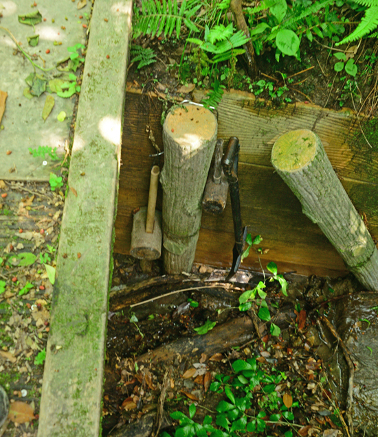 DSC_3835-2.jpg