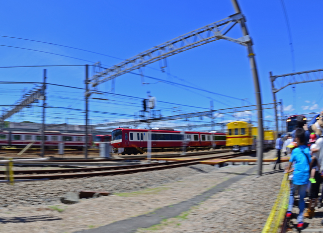 DSC_3926-3.jpg