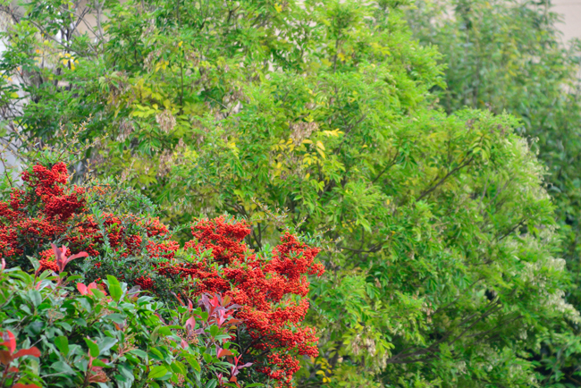 DSC_3930-2.jpg