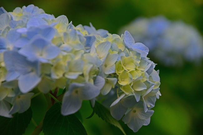 DSC_4095-2.jpg