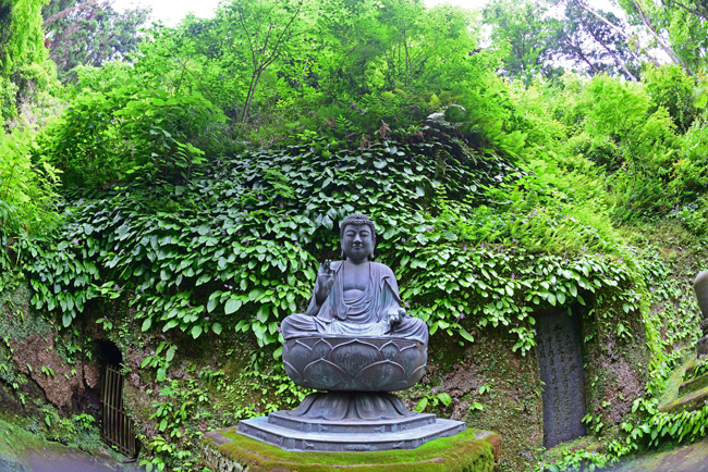 DSC_4132-2.jpg