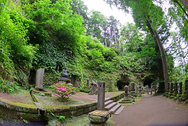 DSC_4140-2.jpg