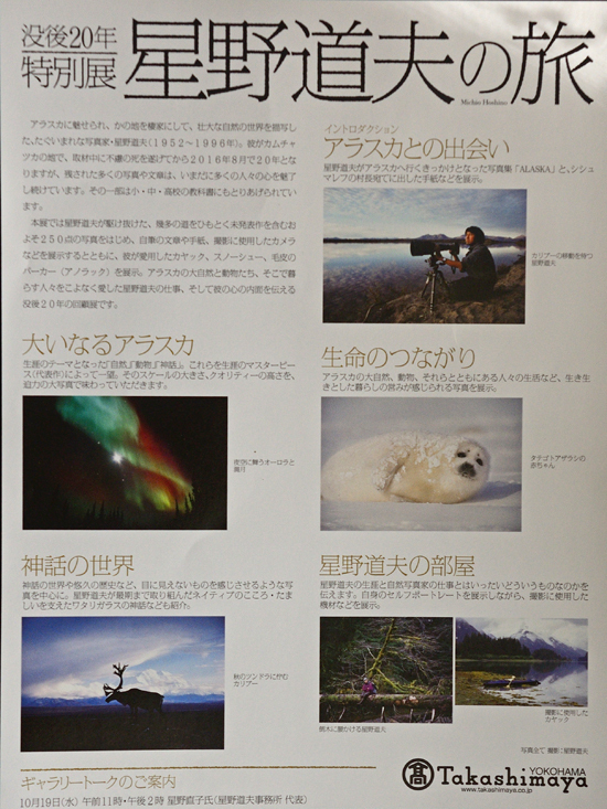 DSC_4146-2.jpg