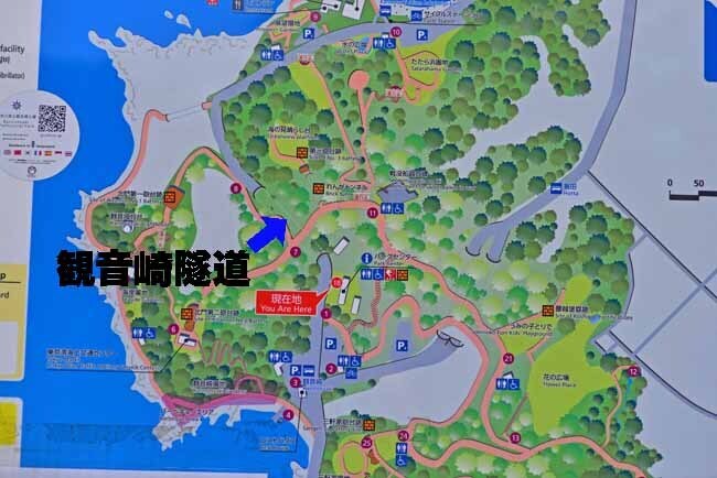 DSC_4150-3.jpg