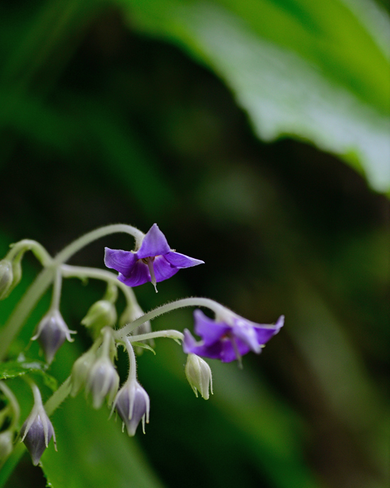 DSC_4166-2.jpg