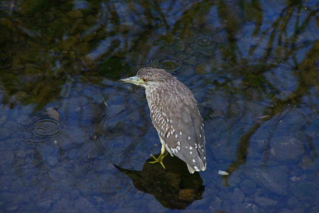 DSC_4214-2.jpg